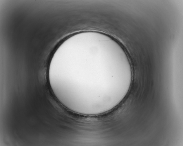 X0000088491503200706121539