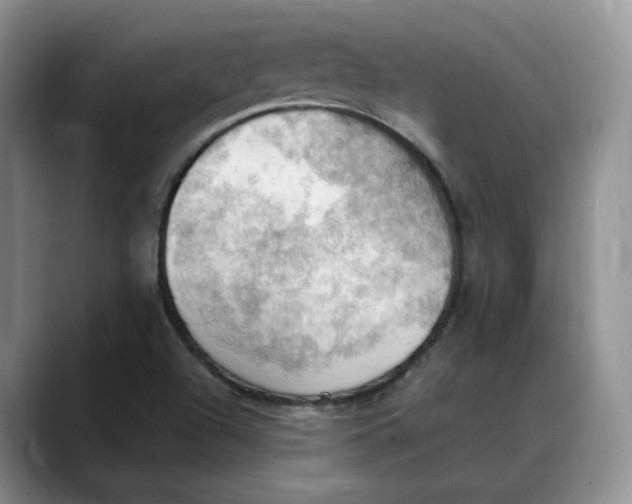 X0000088491504200706121539