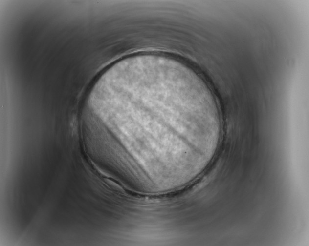 X0000088491505200706121539