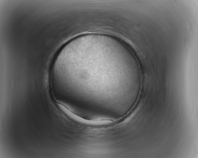 X0000088491506200706121539