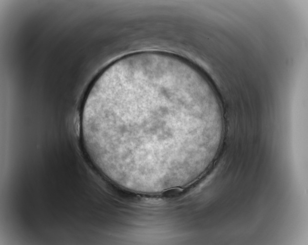 X0000088491509200706121539