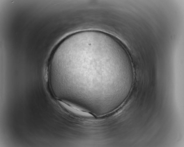 X0000088491510200706121539