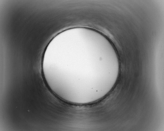 X0000088491512200706121539