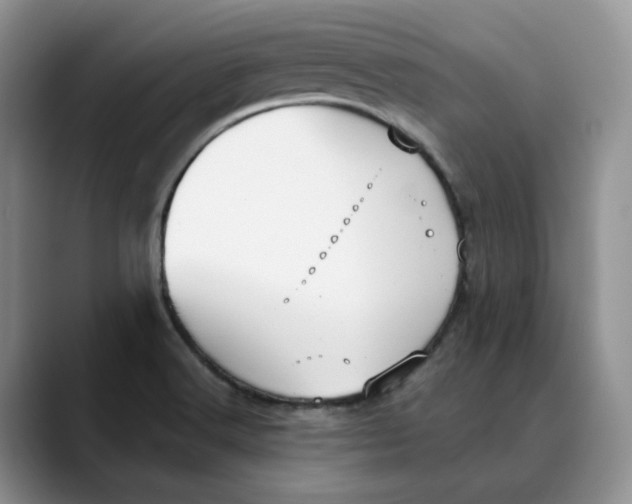 X0000088491516200706121539