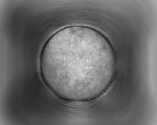 X0000088491517200706121539