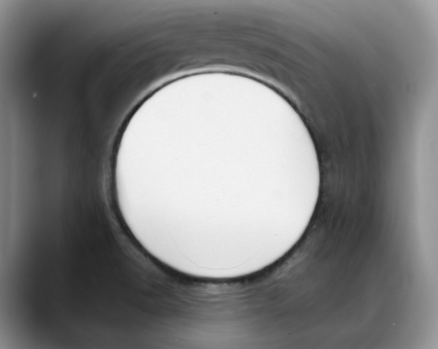 X0000088491518200706121540