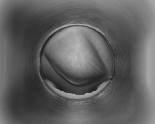 X0000088491519200706121540