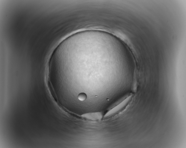 X0000088491520200706121540