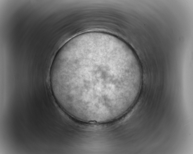 X0000088491521200706121540