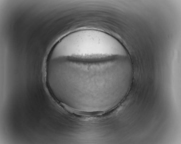 X0000088491522200706121540