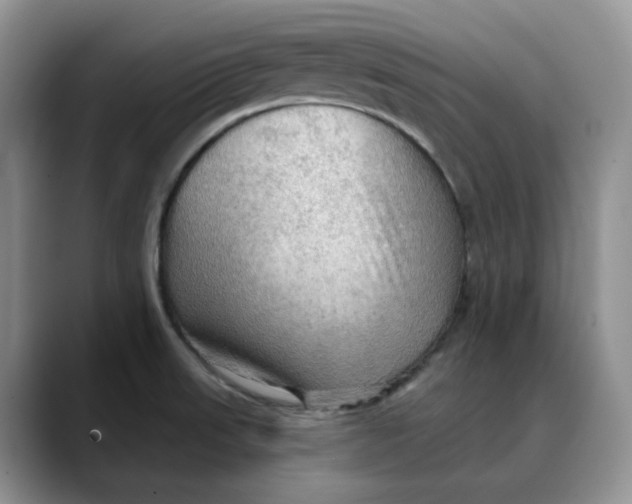 X0000088491523200706121540