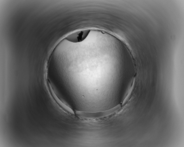 X0000088491524200706121540