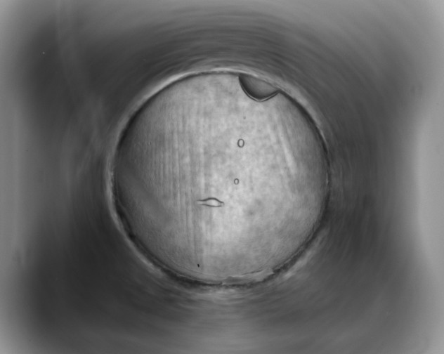 X0000088491525200706121540