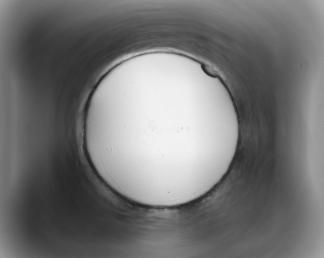 X0000088491526200706121540