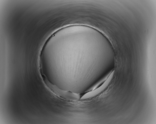 X0000088491527200706121540