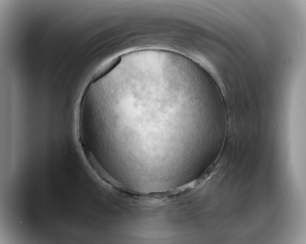 X0000088491528200706121540