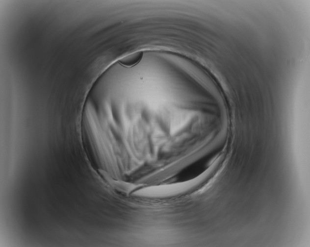 X0000088491529200706121540