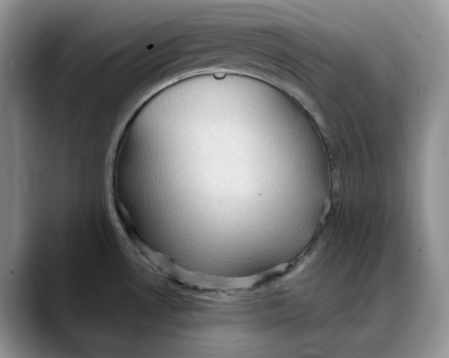 X0000088491530200706121540