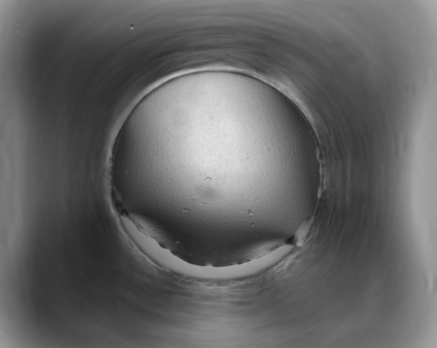 X0000088491532200706121540