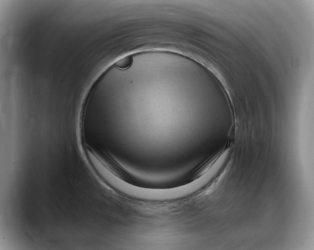 X0000088491533200706121540