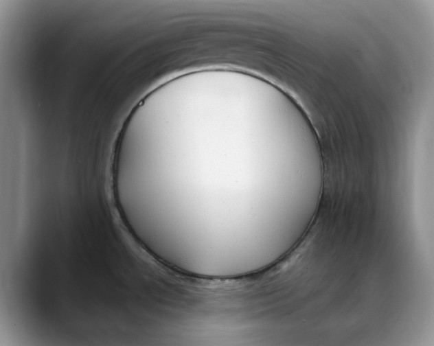 X0000088491534200706121540