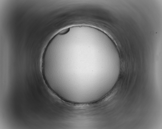 X0000088491535200706121540