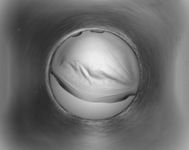 X0000088491536200706121540