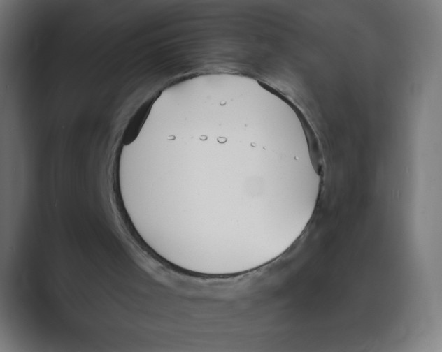 X0000088490001200706191433
