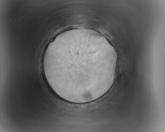 X0000088490002200706191433
