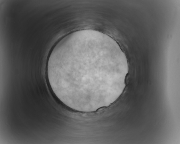 X0000088490003200706191433