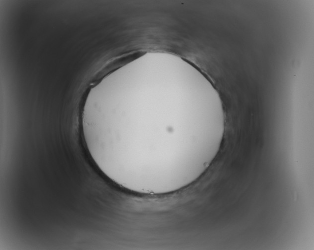 X0000088490005200706191433