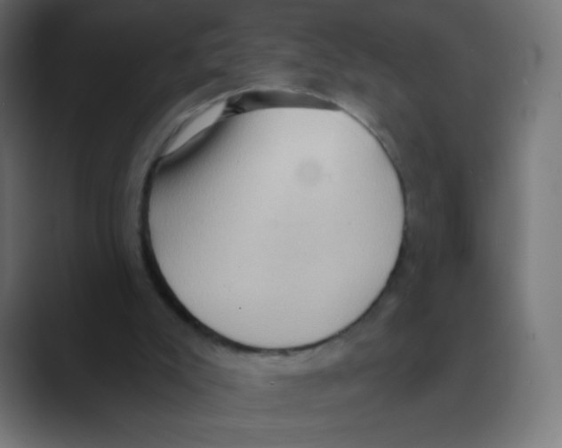 X0000088490007200706191433