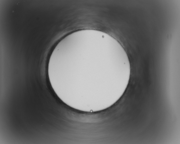 X0000088490008200706191433