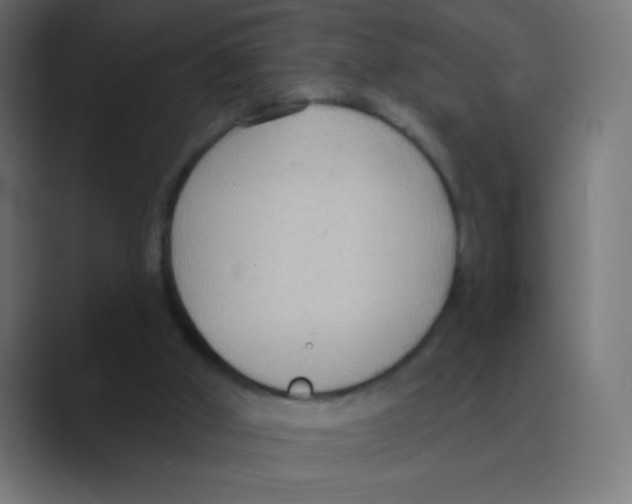 X0000088490010200706191433