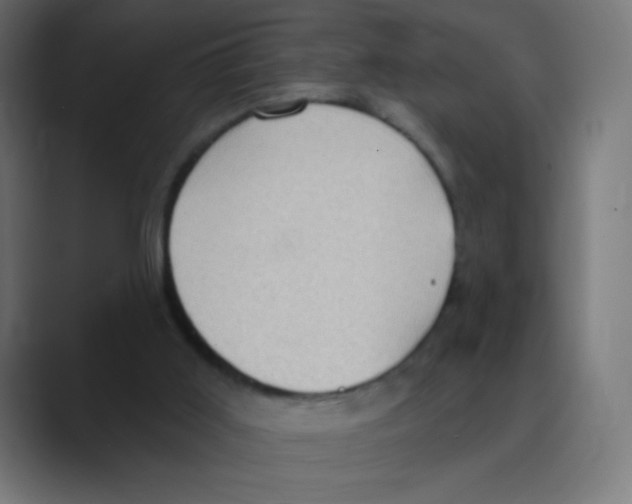 X0000088490011200706191433