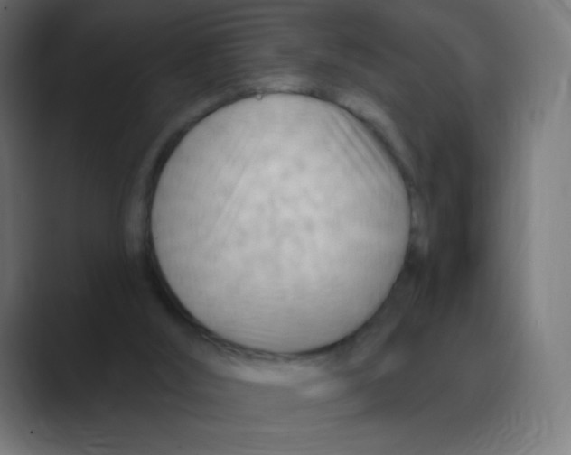 X0000088490012200706191433