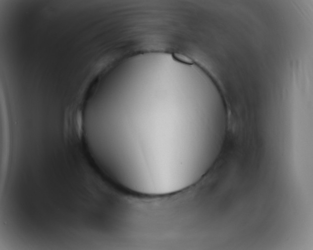 X0000088490013200706191433