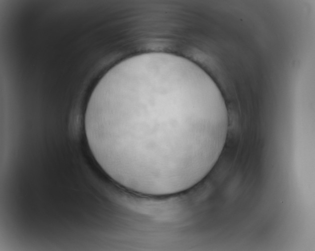 X0000088490016200706191432
