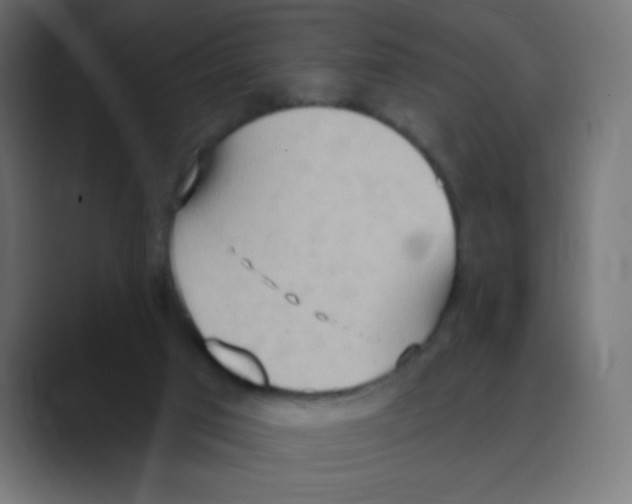 X0000088490017200706191432