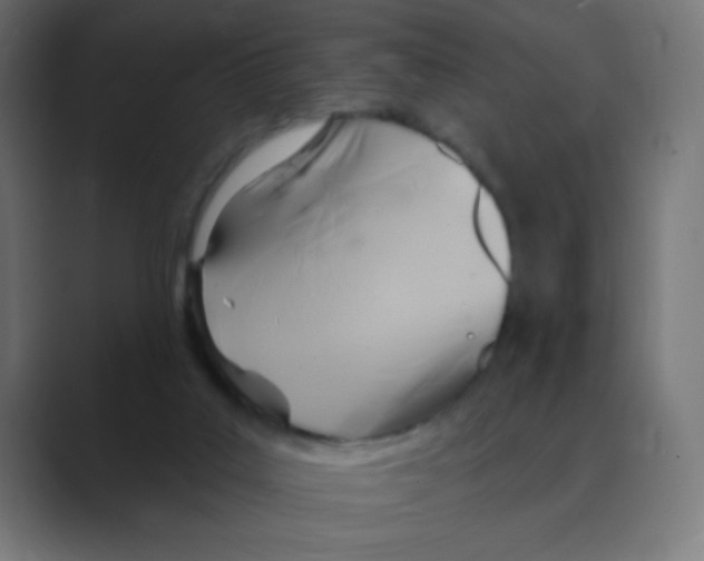 X0000088490019200706191432