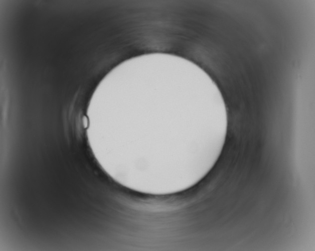 X0000088490020200706191432