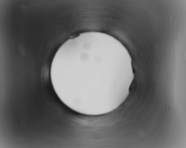 X0000088490021200706191432