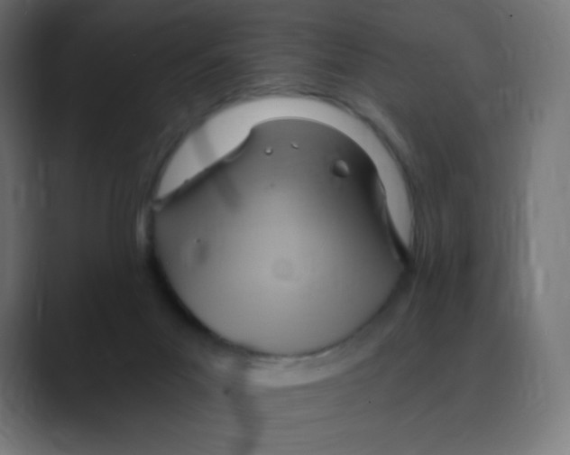 X0000088490023200706191432
