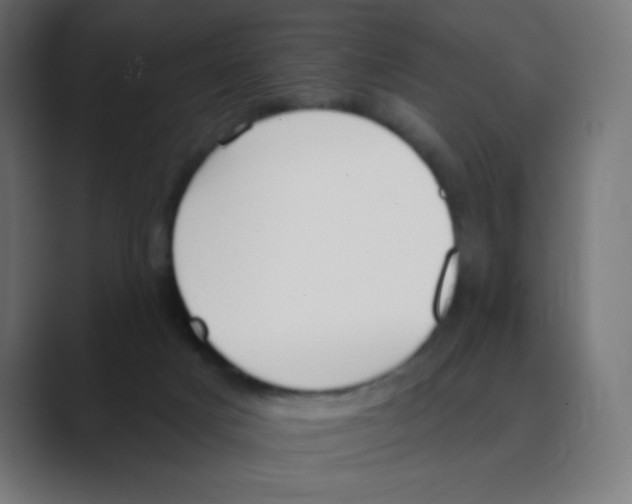 X0000088490025200706191432