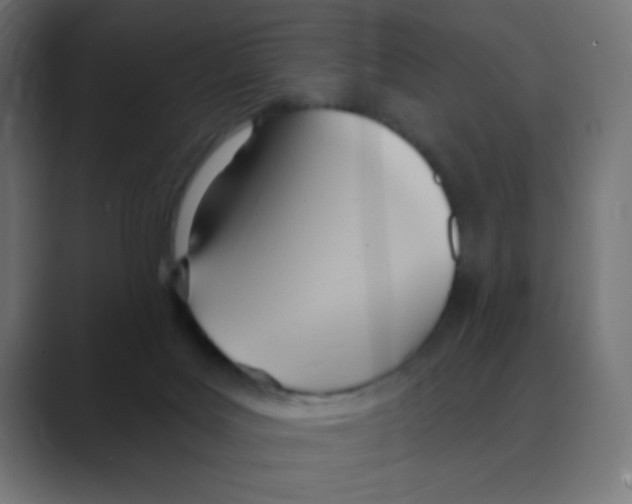 X0000088490027200706191432