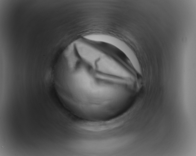 X0000088490029200706191432