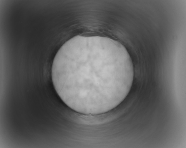 X0000088490030200706191432