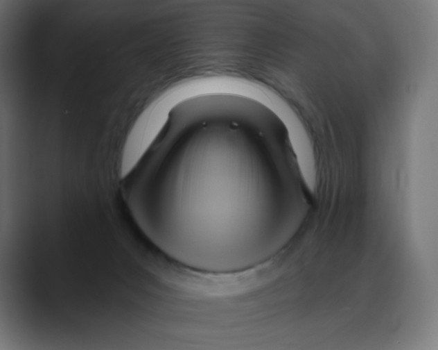 X0000088490031200706191432