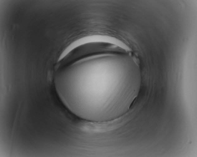 X0000088490033200706191432