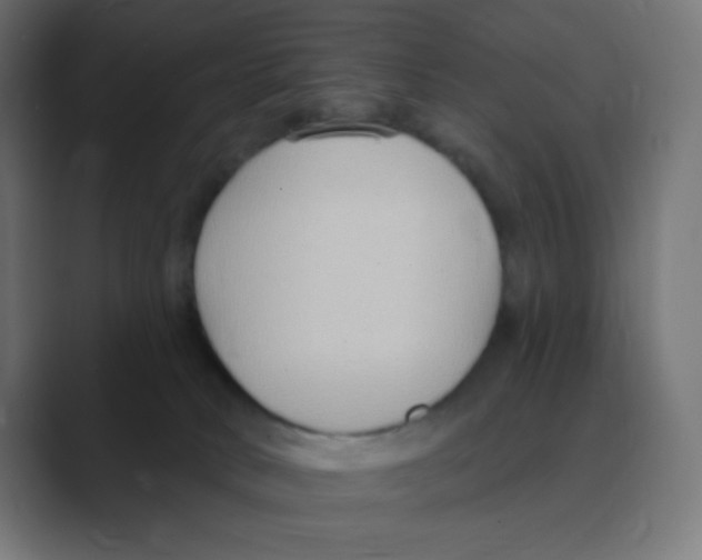 X0000088490034200706191432